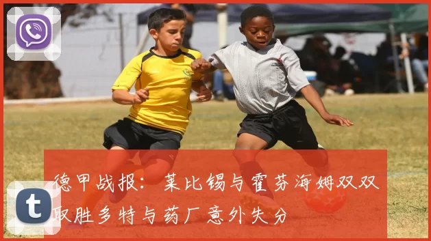 德甲战报：莱比锡与霍芬海姆双双取胜多特与药厂意外失分